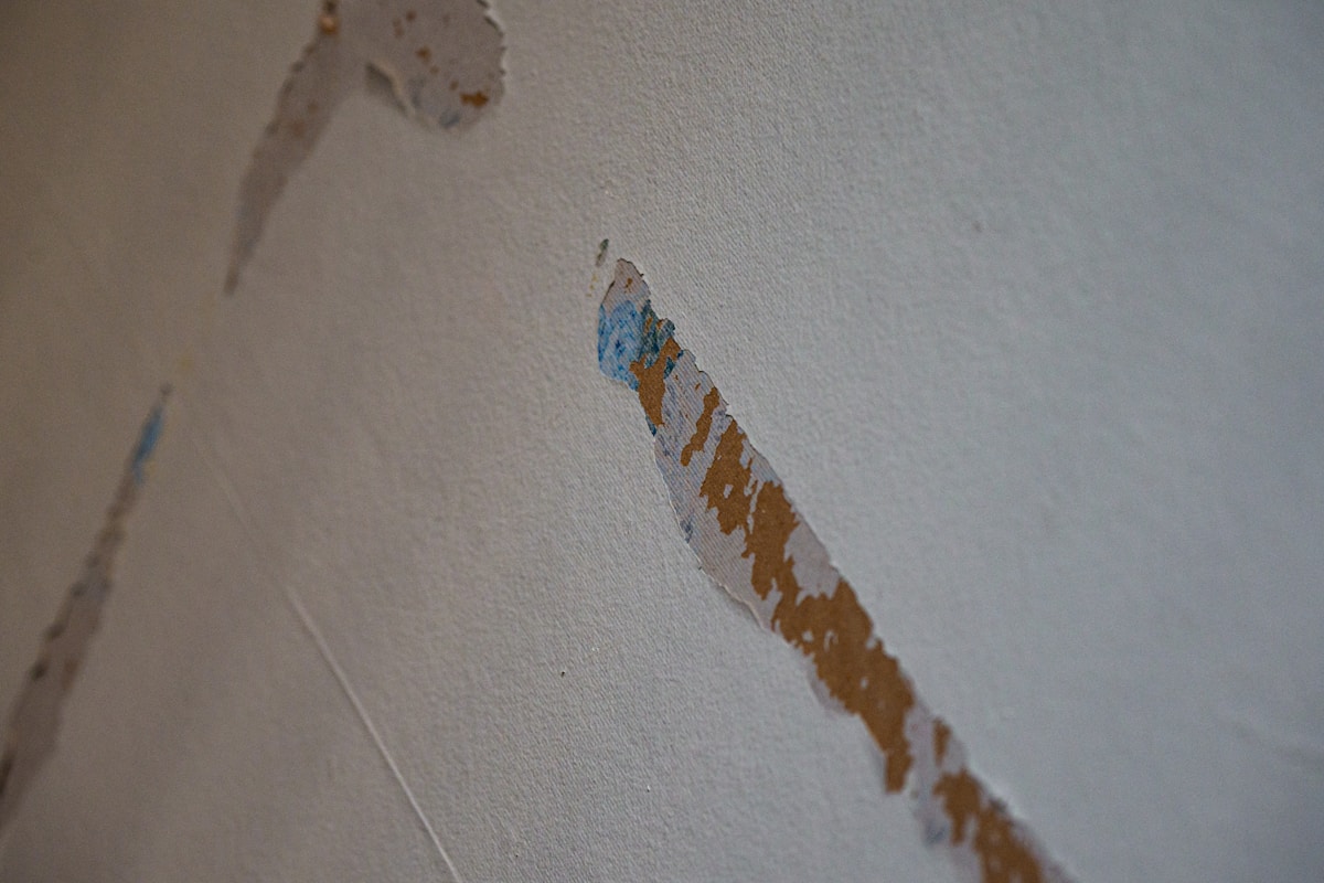 Water Extraction service in Columbia, MO